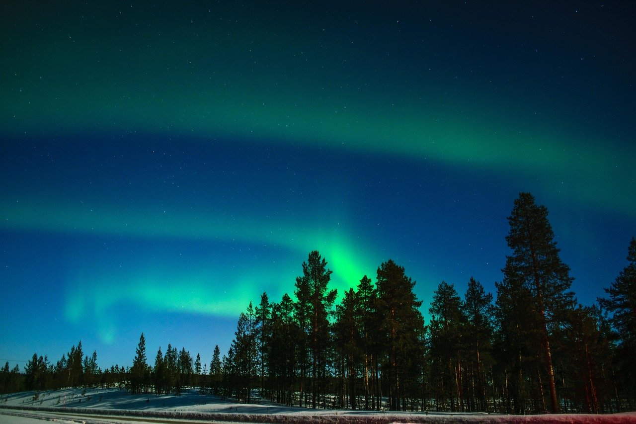 A mesmerizing view of the northern lights over a snowy Lapland forest.