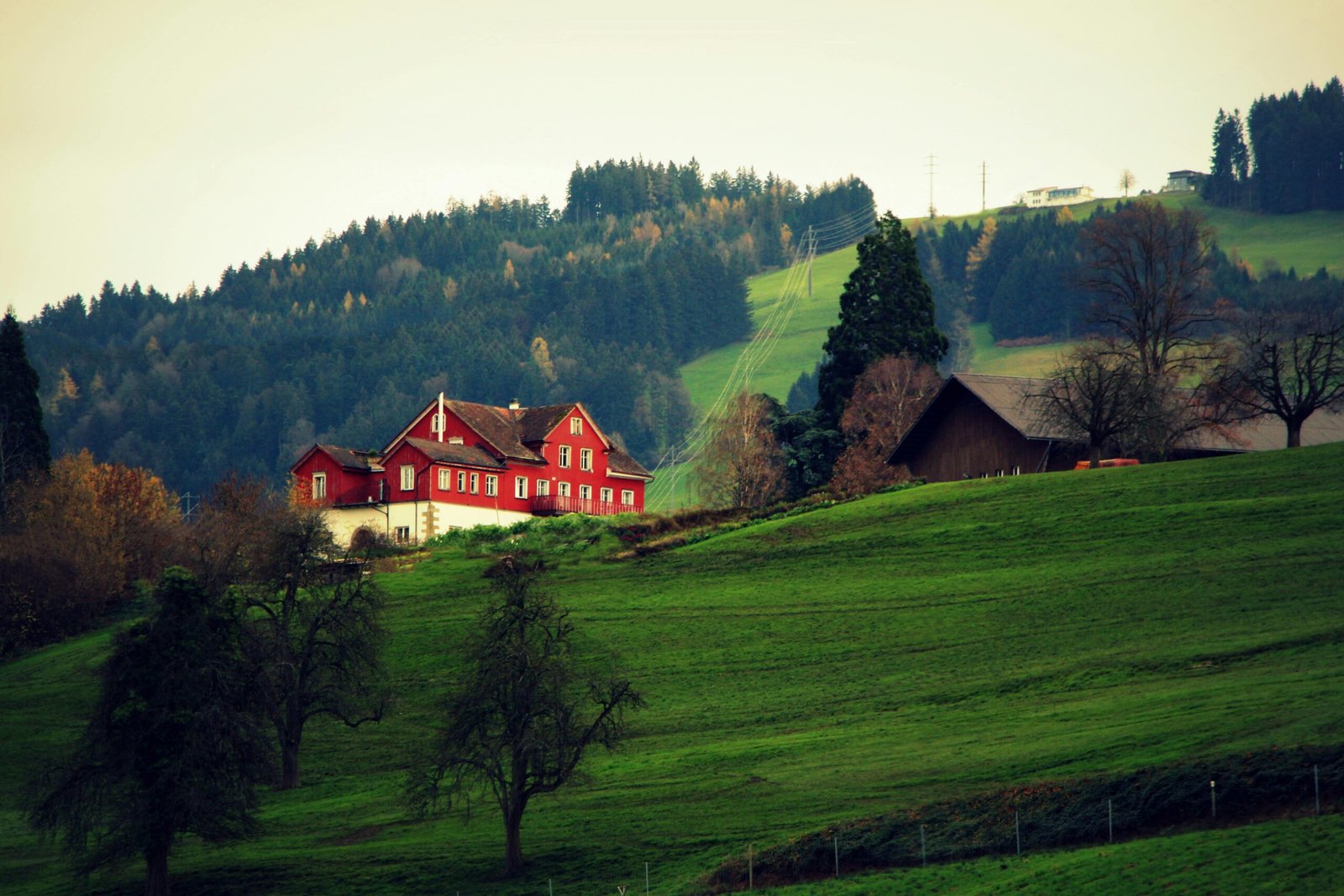A cozy cabin nestled in Romania’s Carpathian Mountains, surrounded by pine trees and a serene landscape.