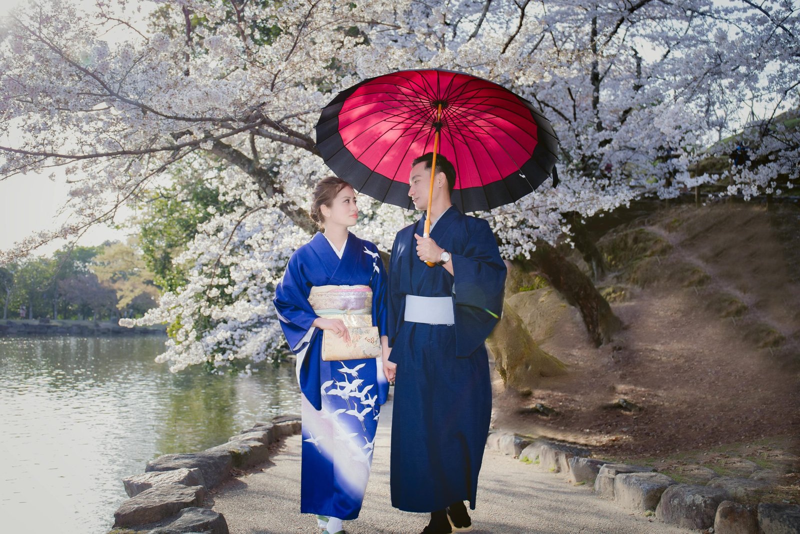 Couple walking beneath cherry blossom trees in Kyoto.