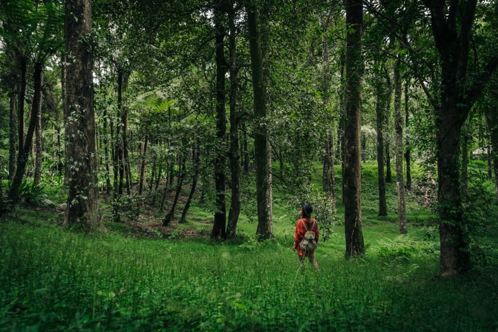 A woman stands amidst a lush, green forest wearing a backpack, exploring nature.