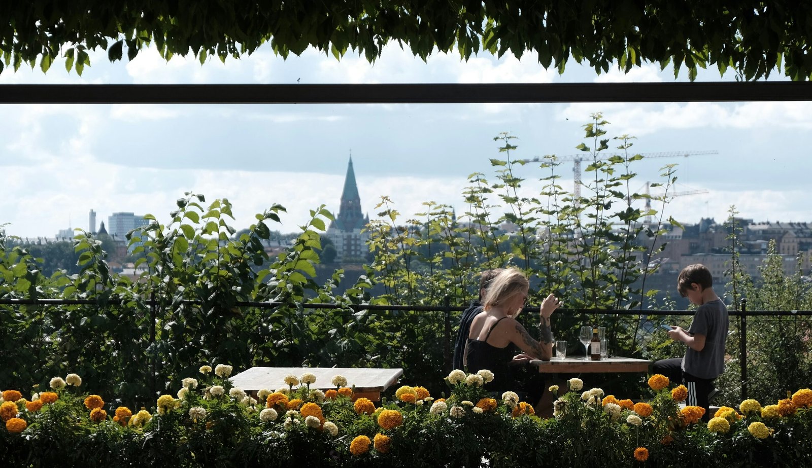 A lush rooftop garden in Gothenburg, Sweden, under a clear sky.