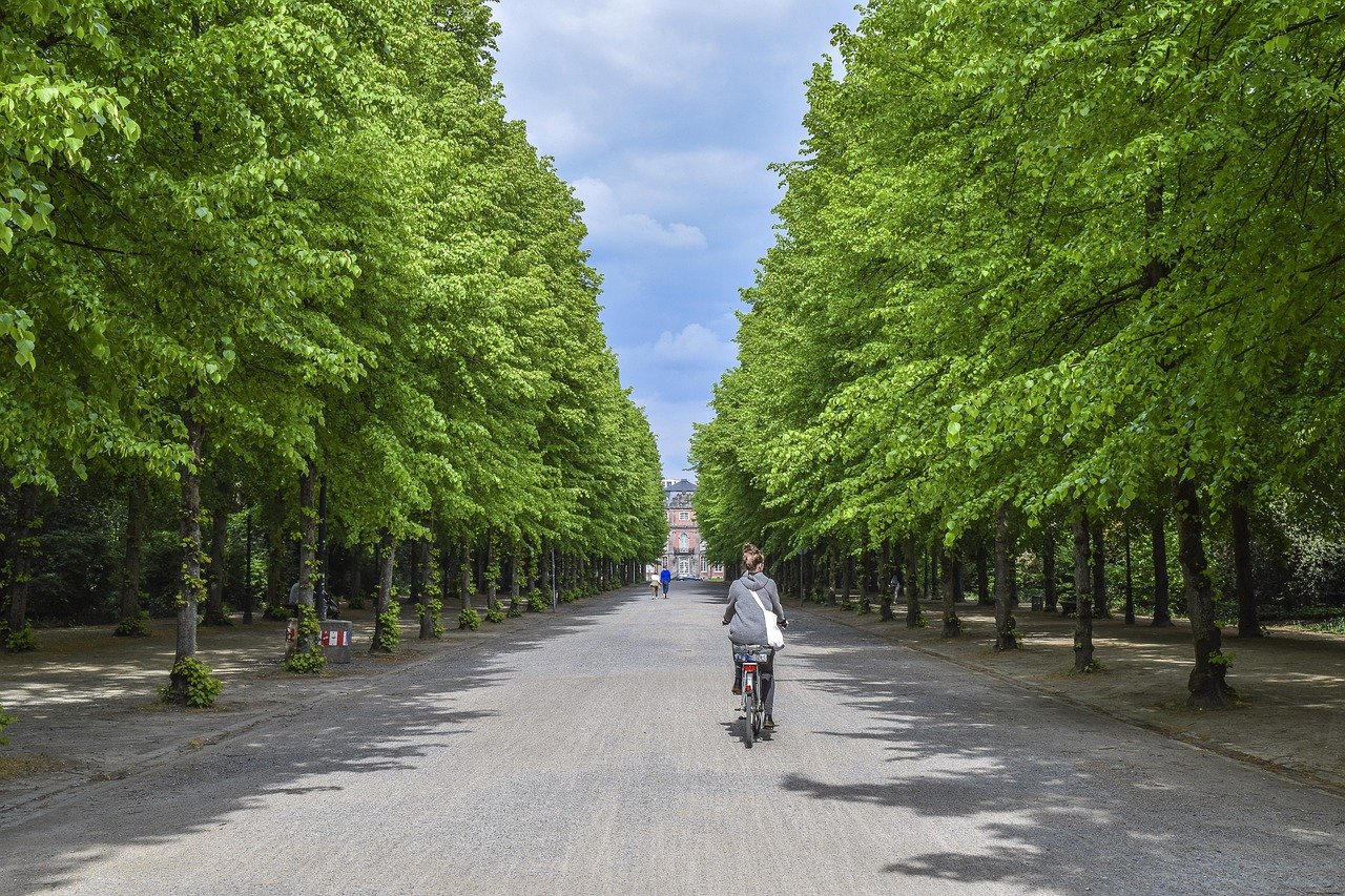 A cyclist enjoying a summer bike path in a European city, highlighting green transportation.
