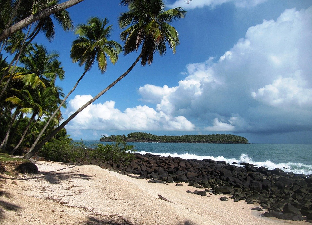 A tranquil coastal scene in Guyana, with mangroves and wildlife, highlighting eco-friendly travel opportunities.