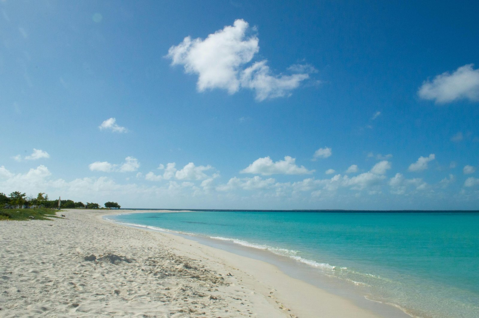 A pristine beach in Los Roques, Venezuela, with turquoise waters and eco-friendly huts in the background.