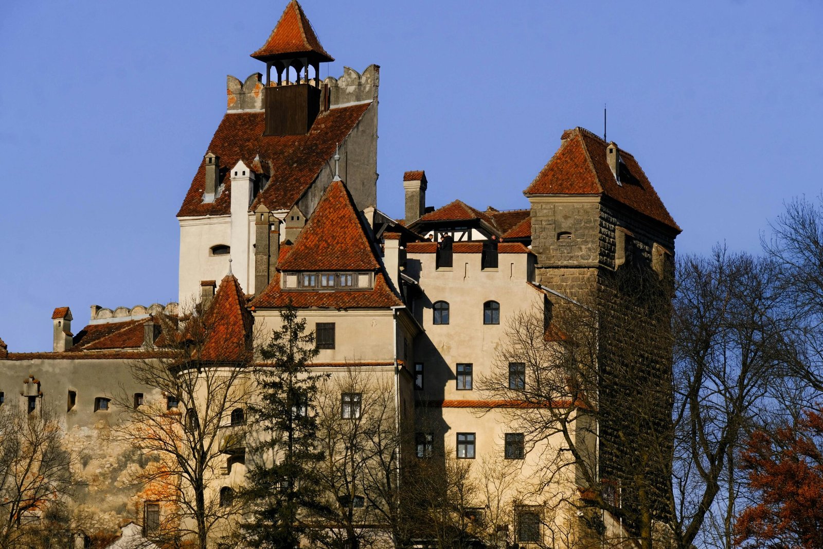 Stunning view of Bran Castle with red roofs and barren trees under a clear blue sky.