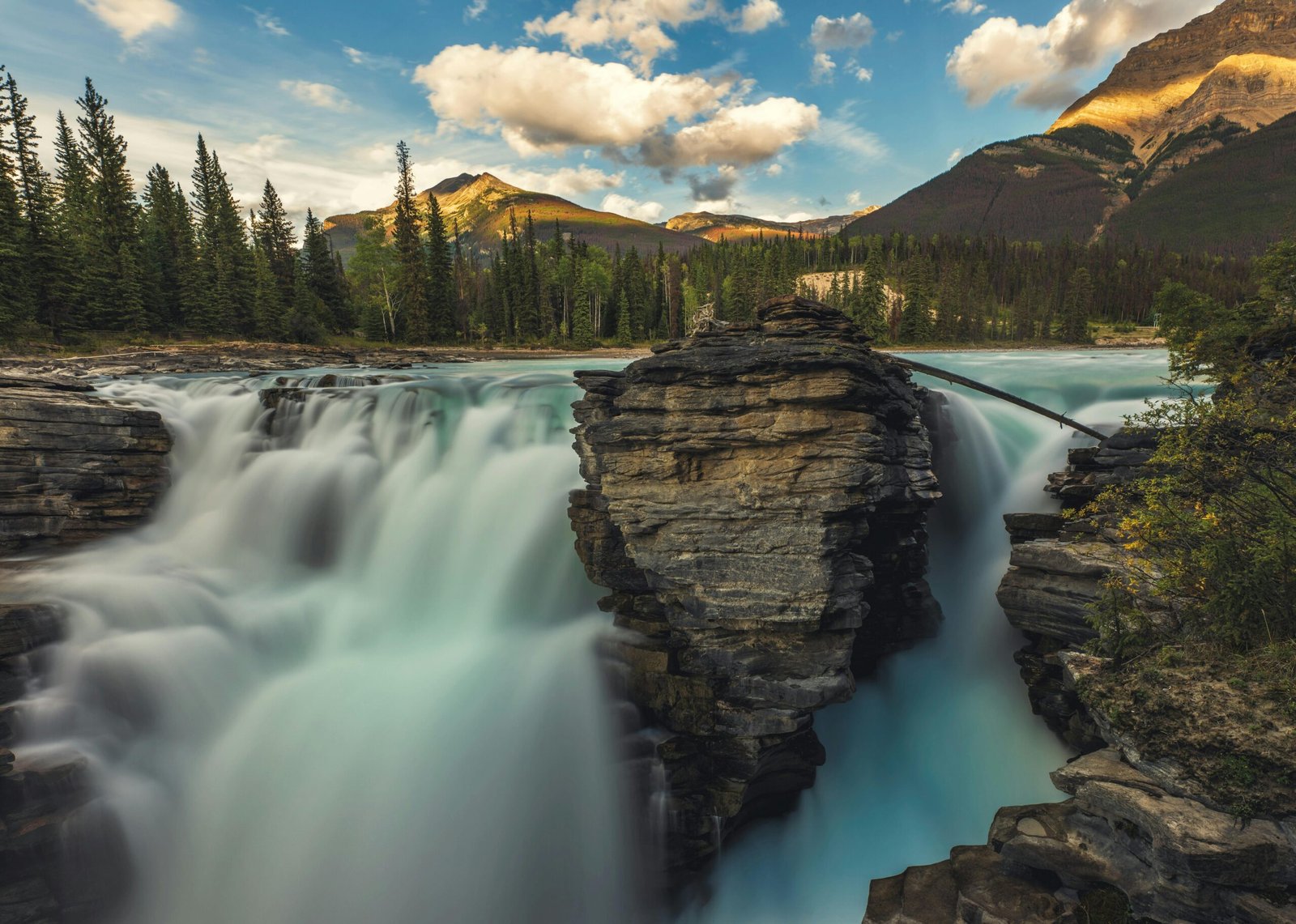 Stunning view of Athabasca Falls surrounded by lush forests and rocky mountains in Jasper National Park.