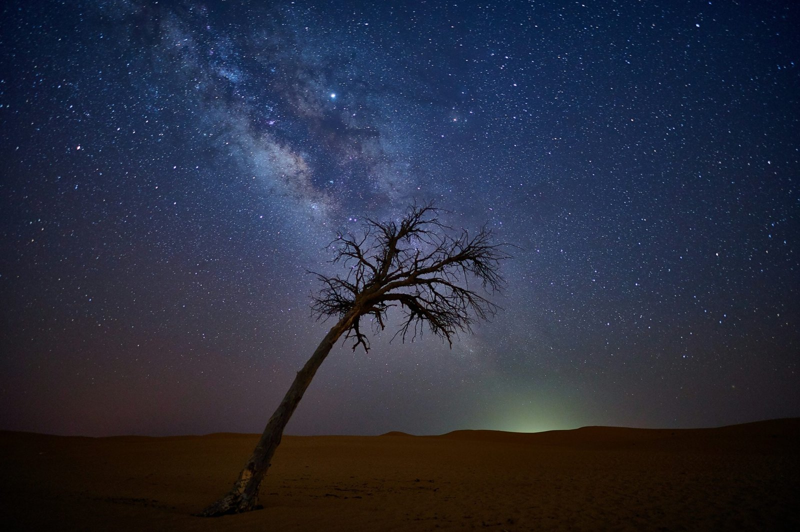 A solitary, ancient quiver tree silhouetted against the brilliant, star-dusted arc of the Milky Way in the Namib Desert, Namibia.