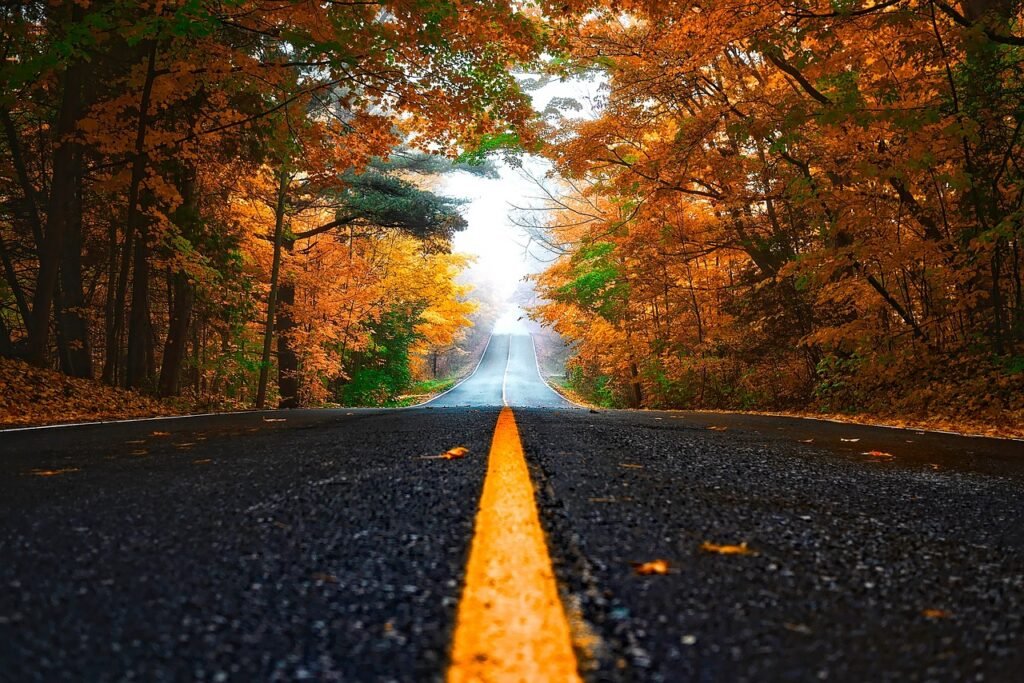 Golden autumn leaves on a cobblestone street, representing the magic of autumn city breaks in Europe.