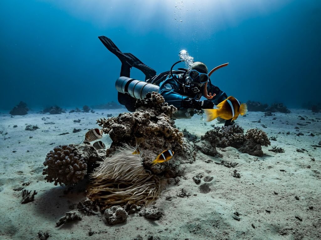 Coral restoration diving in the Barbados waters