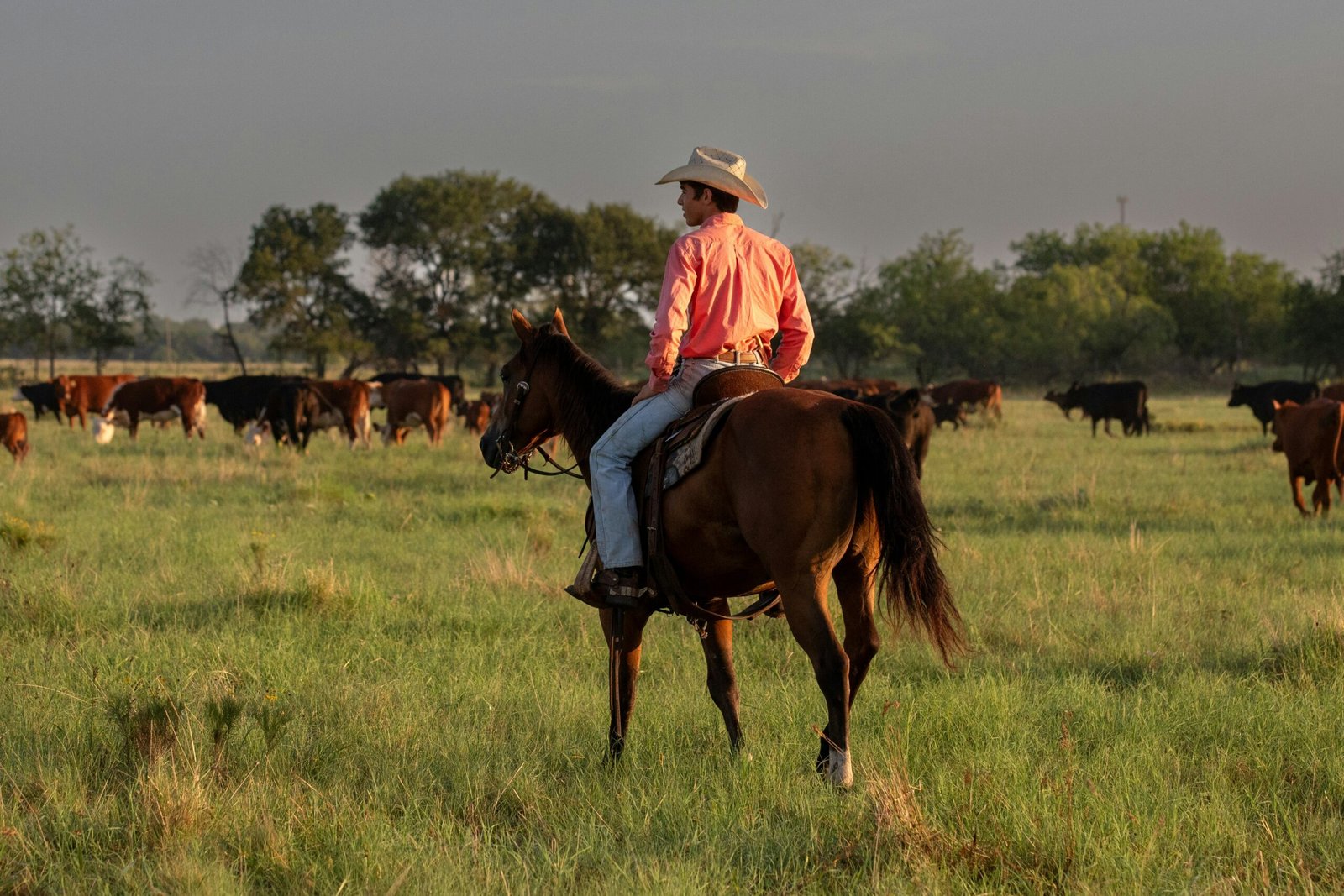 Texas, USA