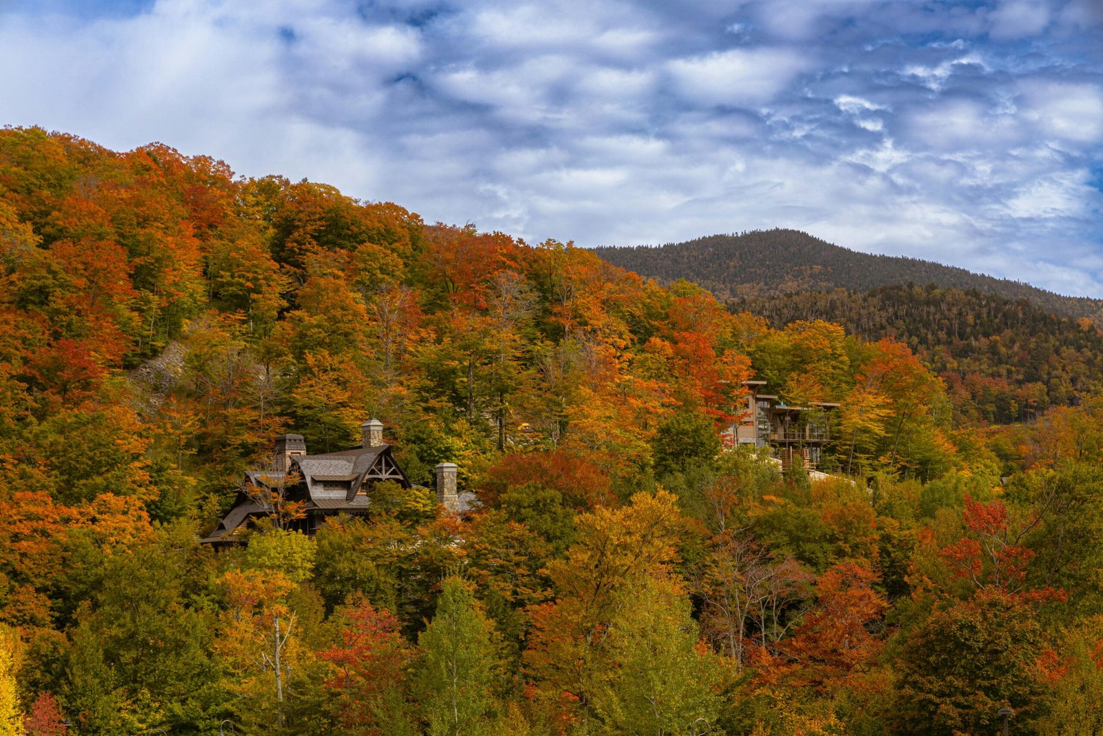 A scenic view of vibrant autumn colors in Stowe, Vermont's forested hills.