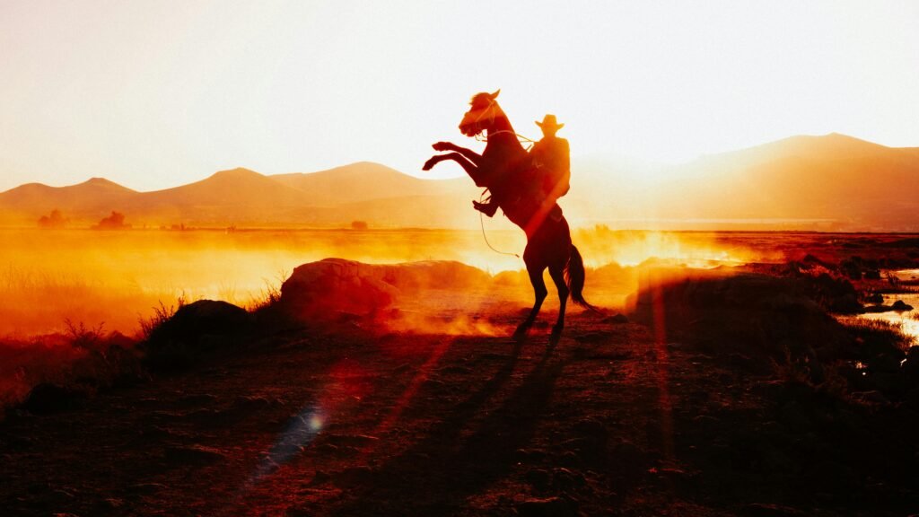 A cowboy on a rearing horse against a stunning sunset.