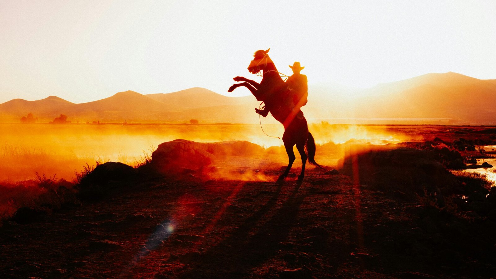 A cowboy on a rearing horse against a stunning sunset.